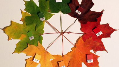 Autumn_leaves_(pantone)_crop- marriage