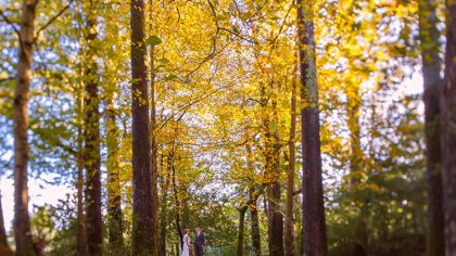 Irish Outdoor Weddings: Everything You Need to Know