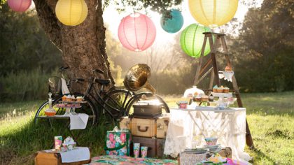 Hen Party Ideas: Picnic Time